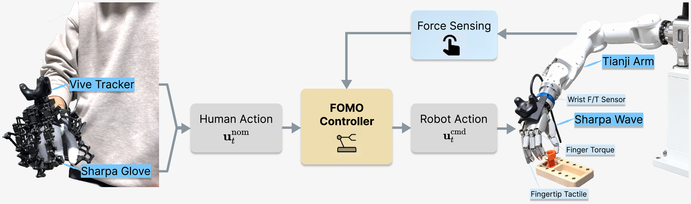 System overview: a Sharpa glove with Vive tracker produces the human action; the FOMO controller modulates it using force sensing before sending the robot action to a Tianji arm with a Sharpa Wave hand equipped with wrist F/T, finger torque and fingertip tactile sensing.